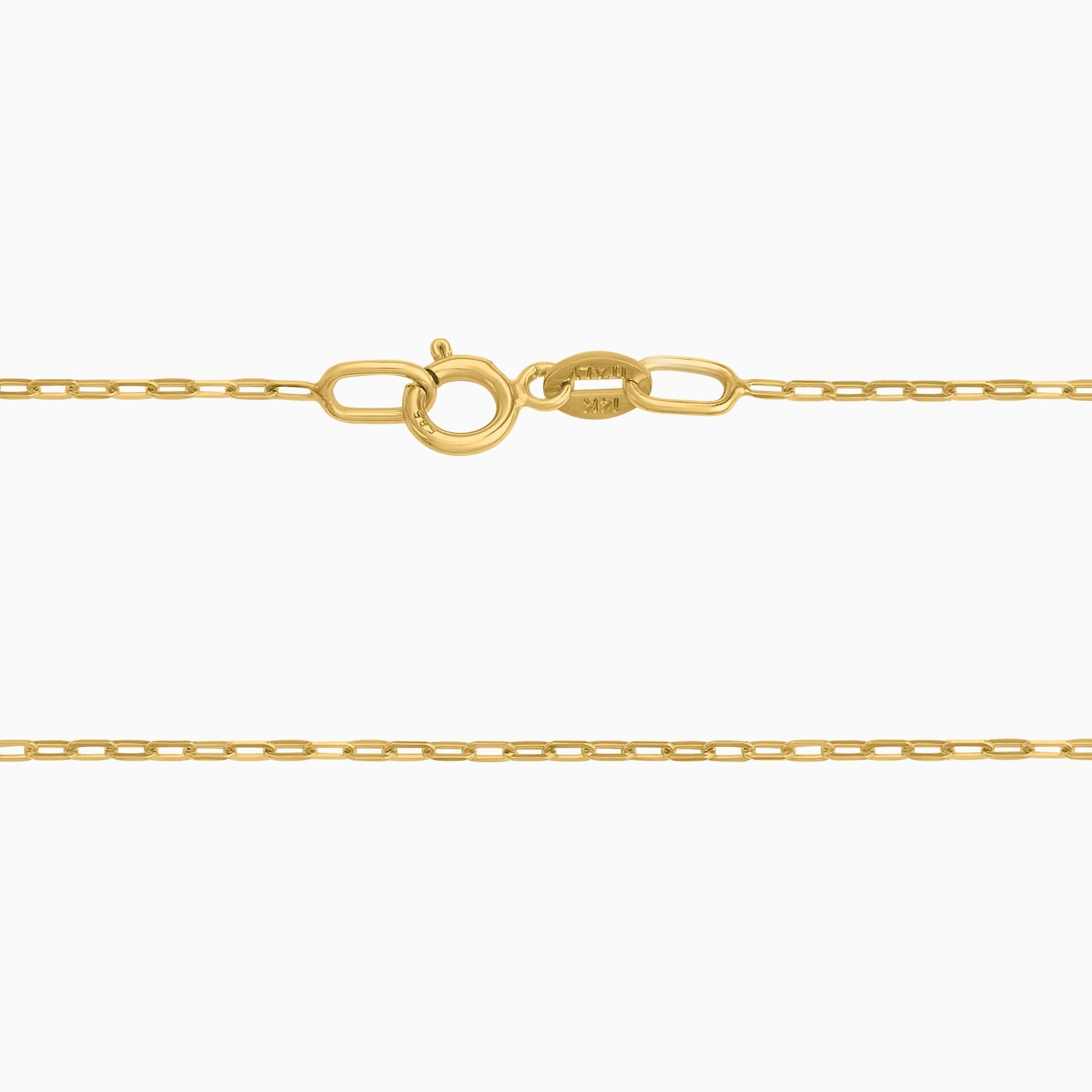 14K Yellow Gold Anchor Chain + Case