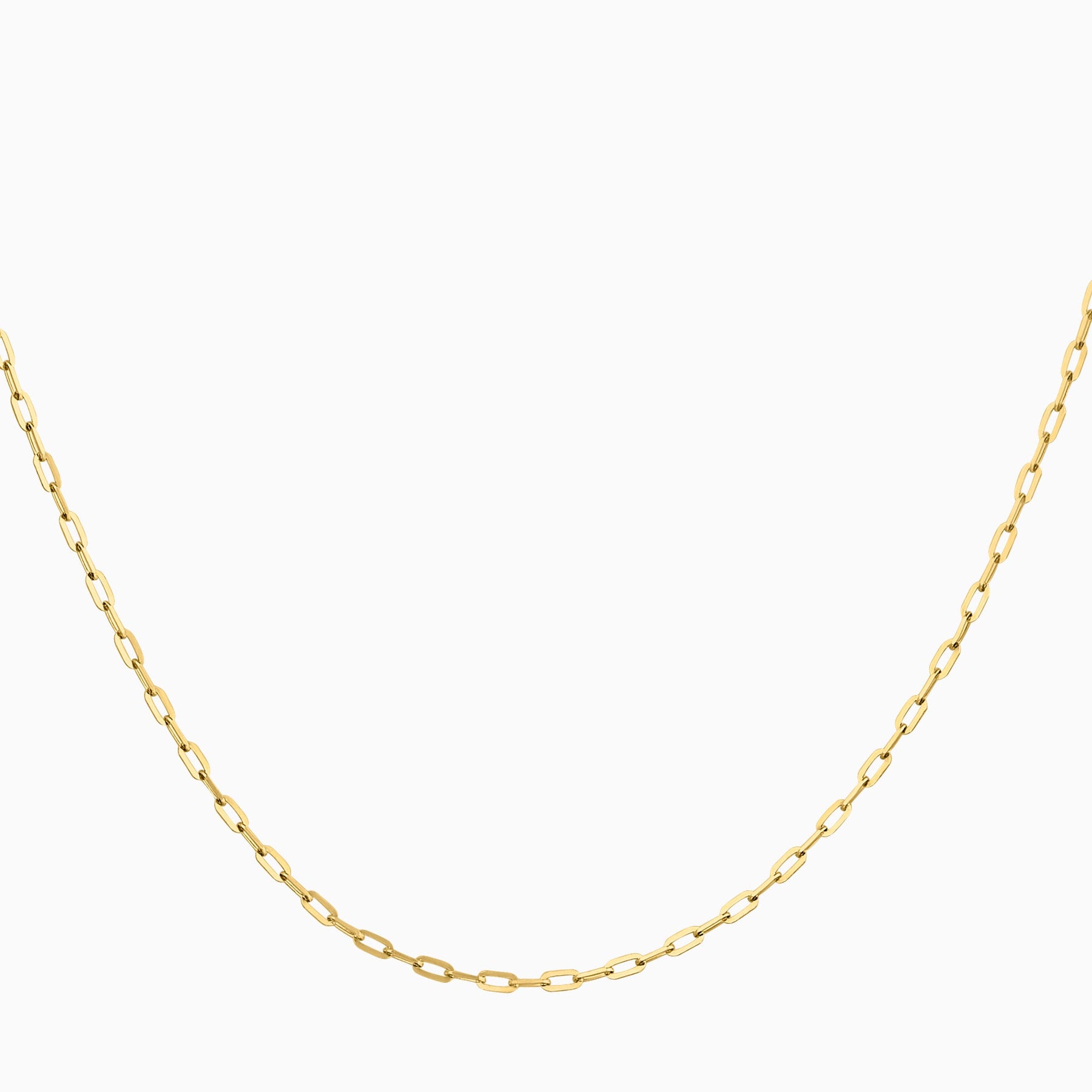 14K Yellow Gold Anchor Chain + Case