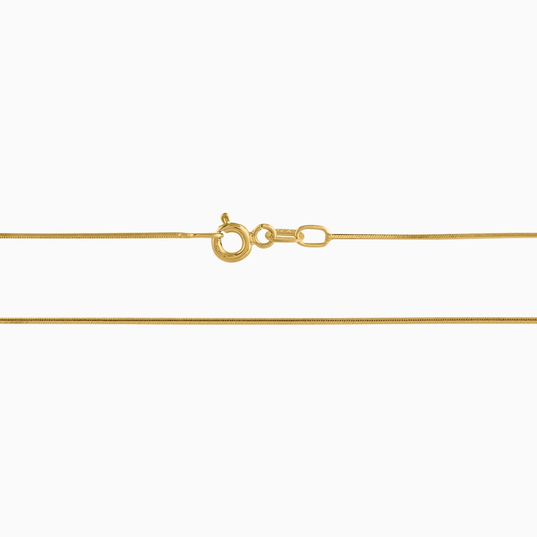 14K Yellow Gold Box Chain + Case